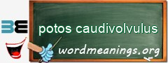 WordMeaning blackboard for potos caudivolvulus